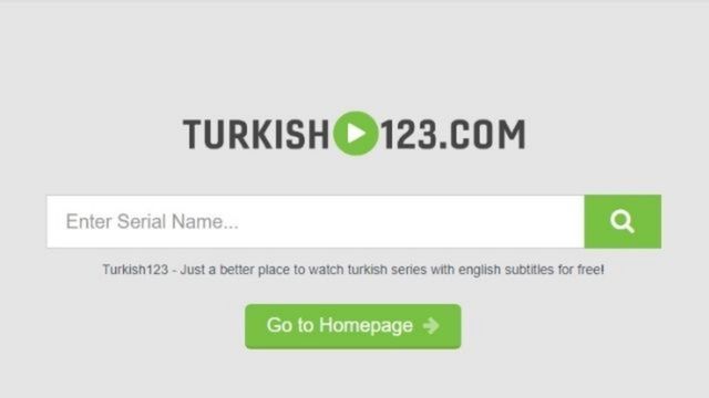 Turkish123: How Do I Get the Turkish 123 App on My Phone? - jersey shore  vibe
